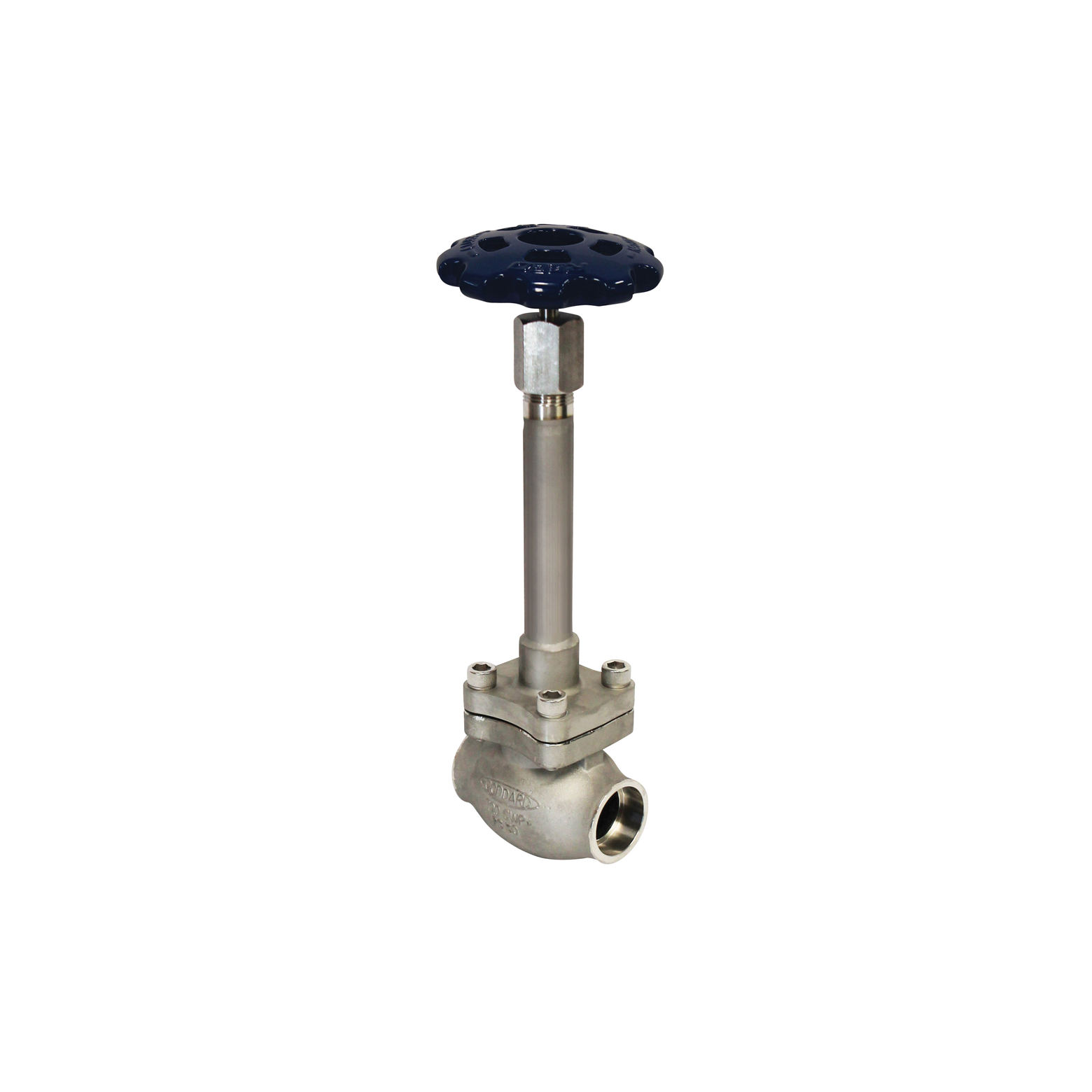 product image of a globe valve SS